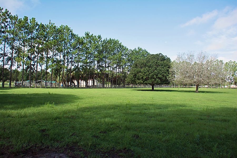 3375 Anderson Rd, Mulberry, FL 33860